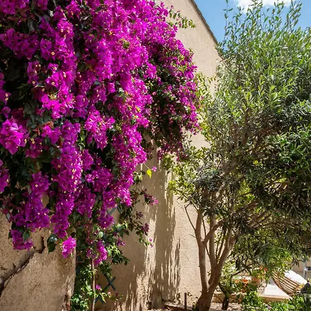 Domaine La Coquillade Autignac (Herault)