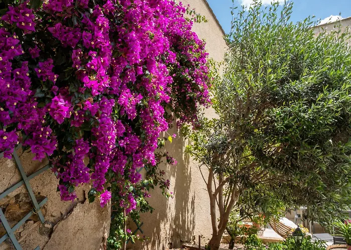 Domaine La Coquillade Autignac (Herault)